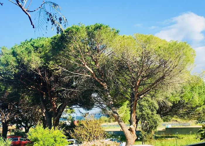 شقة فندقية Filippi بورتو فيكشْيو