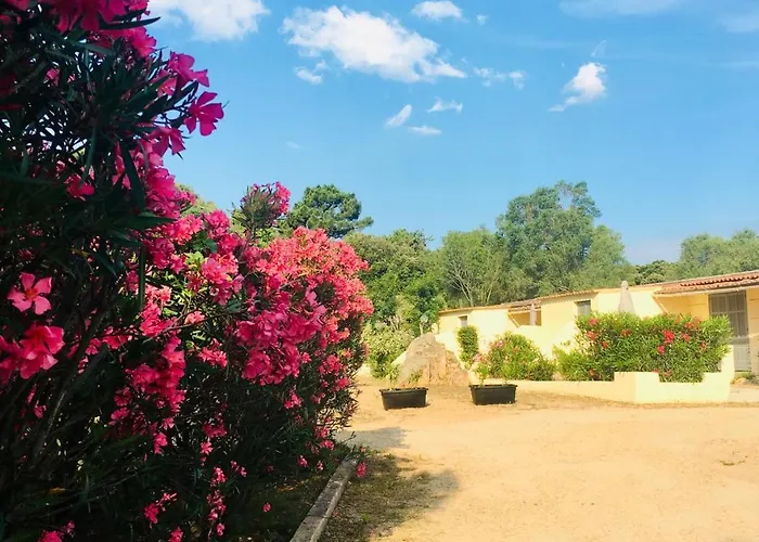 Filippi 3* Porto-Vecchio (Corsica)